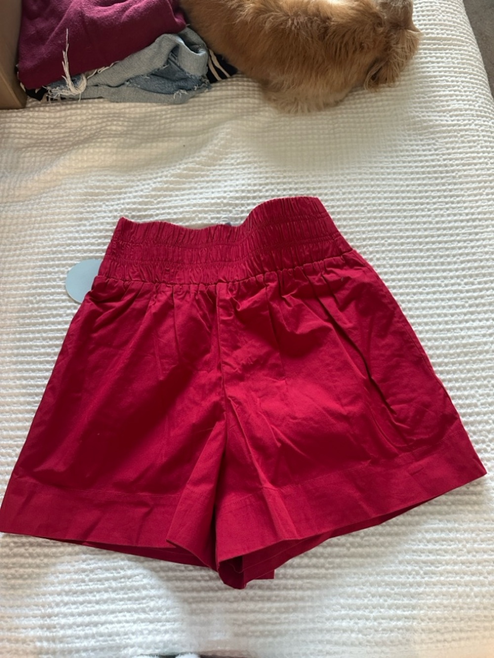 High-Waist Red Women’s Elastic-Waist Shorts